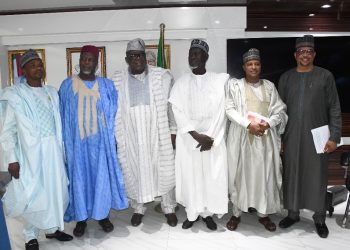 Civil Service faces existential crisis as consulting firms take over its core functions-Prof. Olaopa