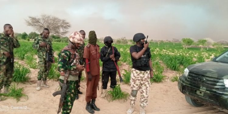 Soldiers neutralize terrorists, destroys hideout in Bornu
