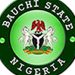Local government elections in Bauchi records impressive turnout