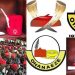 Emmanuel Iwuanyanwu: Two Ohanaeze Leaders Claim ‘acting President General’