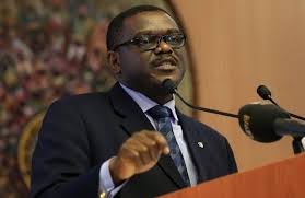 FG is not doing enough to assuage Nigerians suffering-APC chieftain