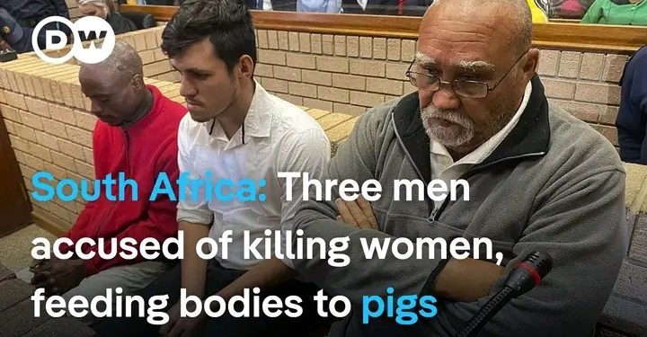 Three Men Accused Of Killing Women, Feeding Their Bodies To Pigs Appear In Court