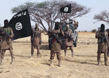 Boko Haram Takes Almost Half Of Crops Produced By Farmers In Borno – Ndume