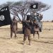 Boko Haram Takes Almost Half Of Crops Produced By Farmers In Borno – Ndume