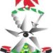 Onafowokan blasts Nigerian Custom says Service turning into internal revenue Generating body