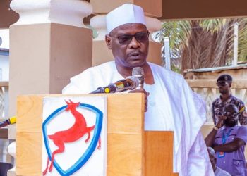 Hire Mercenaries To Fight Terrorists And Bandits – Ndume Tells Tinubu