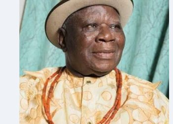 PANDEP faults Tinubu for scrapping Niger-Delta Ministry 