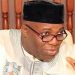 T-Pain means temporary pain, it will lead to betterment of Nigeria -Okupe