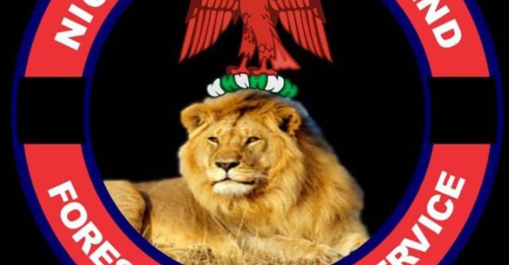 Anambra Hunters Capture Another Member of Kidnap Gang Behind Nimo Engineer Abduction