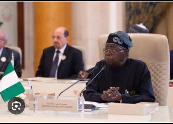 Tinubu Backs Two-State Solution In Gaza, Issue Warning To Israeli