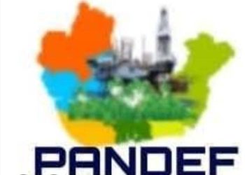 Don’t involve us in your Biafra agitation-PANDEF 