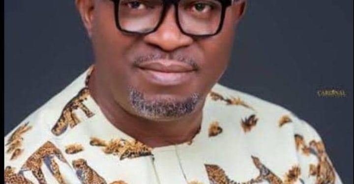 Supreme Court affirms Udeh-Okoye as PDP National Secretary
