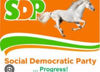 VIPs ,Political elites set to join SDP to unseat APC- Gabam