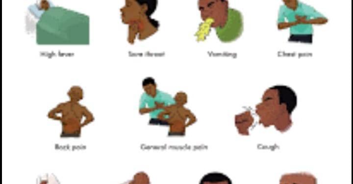 Ogun announces Lassa fever outbreak
