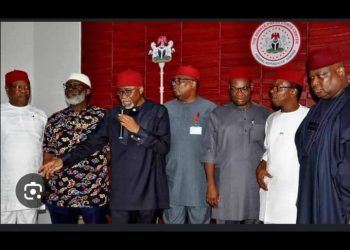 South East Caucus kicks against Senate’s rejection of Nwosu’s immortalization
