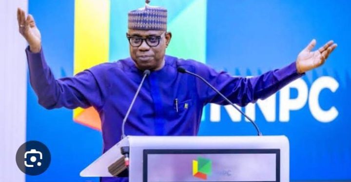 Oil drilling to start in the North-NNPCL GCEO