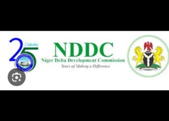 NDDC must guide Niger-Delta youths away from violence, militancy-Tinubu