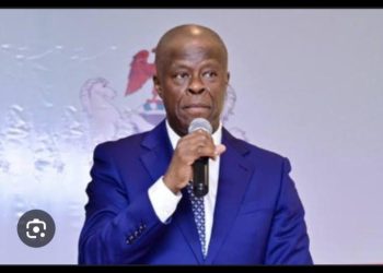 FG vows to implement national single window Initiative-Edun