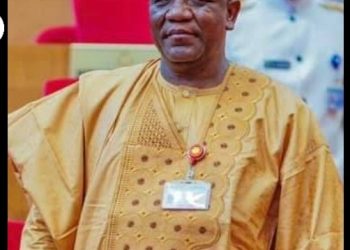Insecurity: Why Senator Yari, other illegal gold miners must be stoped -Security Experts