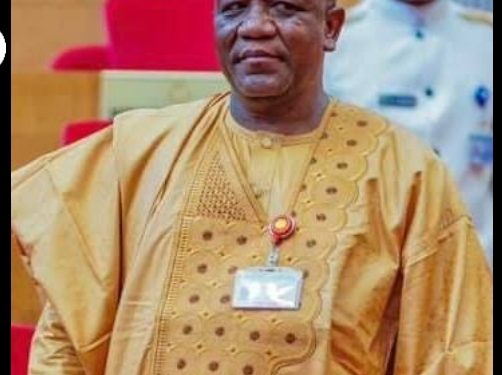Insecurity: Why Senator Yari, other illegal gold miners must be stoped -Security Experts