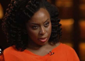 Euracare:Chimamanda Adichie, husband  demand thorough investigation over son’s death