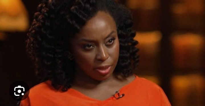 Euracare:Chimamanda Adichie, husband demand thorough investigation over son’s death