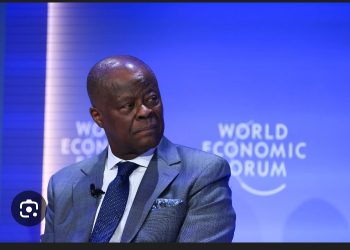 Economy:FG Will Now Rely Less On Borrowing – Wale Edun