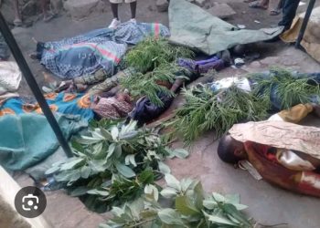 Plateau killings call for reflection, decisive action—Speaker Abbas