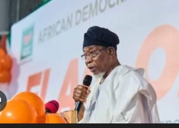 Renewed Hope is a scam- Aregbesola