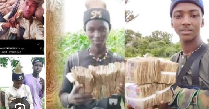 Senate Orders Arrest Of Bandits Flaunting Cash On Tiktok 
