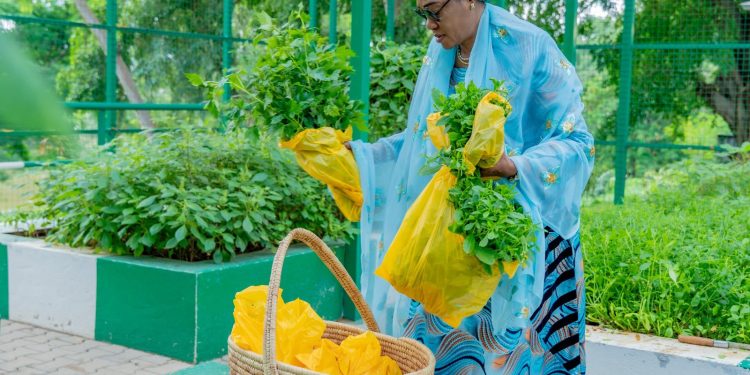 Photos Emerge As First Lady Promotes Home Farming, Harvesting Vegetables from State House Garden