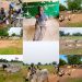 Troops Foil Bandits’ Attack, Recover 97 Cattle and 50 Sheep in Kano