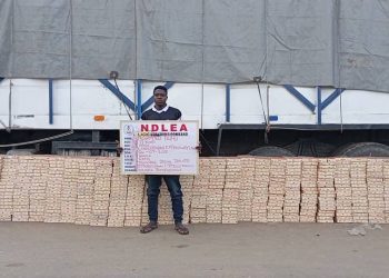 NDLEA Intercepts 1.63 Million Tramadol Pills Bound for Kano, Arrests 80-Year-Old Suspect