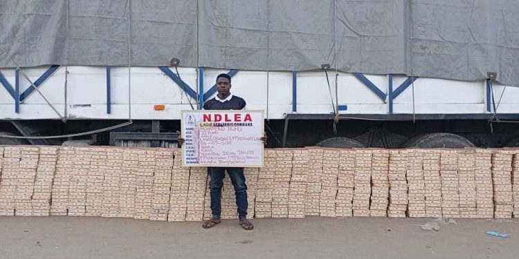 NDLEA Intercepts 1.63 Million Tramadol Pills Bound for Kano, Arrests 80-Year-Old Suspect