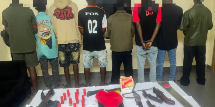 Police Arrest 11 LAUTECH Students Over Alleged Cult Activities, Recover Firearms in Oyo