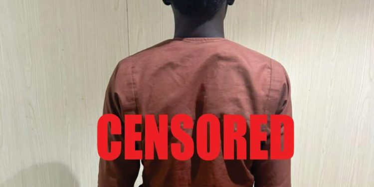 Two Senior Terrorist Commanders Surrender to Troops in Borno