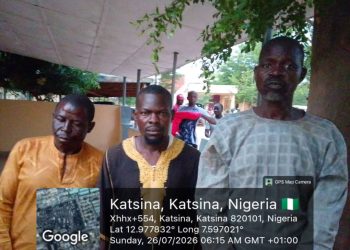 Troops Rescue Kidnap Victim, Recover 126 Rustled Livestock in Katsina Operations