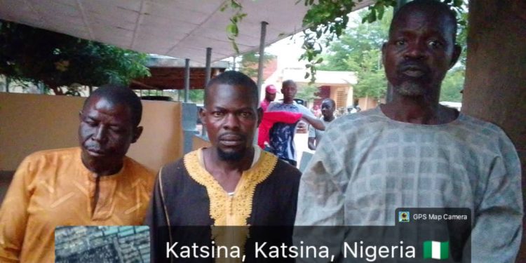 Troops Rescue Kidnap Victim, Recover 126 Rustled Livestock in Katsina Operations