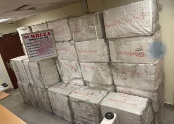 NDLEA Intercepts Ammunition Hidden in Palm Oil, Seizes 1.2 Tonnes of Cannabis in Edo