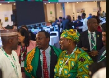 Nigeria Calls for Stronger African Unity Ahead of Global Telecoms Elections