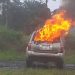 Troops Intercept 1,200 Litres of Suspected Illegal Diesel, Recover Vehicle in Akwa Ibom
