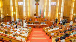 Senate Weighs Diplomatic Measures Over Fresh Xenophobic Attacks in South Africa