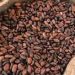 FG Not Banning Raw Cocoa Exports, Says Kyari