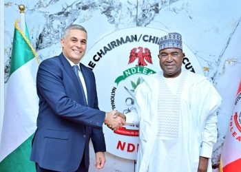 Nigeria, Egypt Move to Strengthen Anti-Drug Cooperation Through MoU
