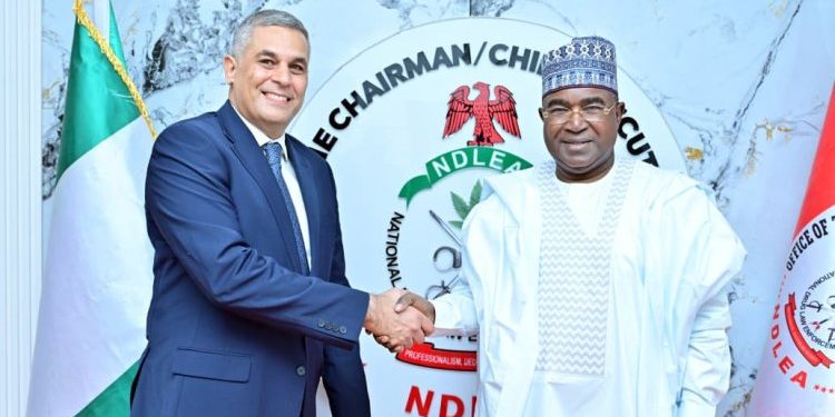 Nigeria, Egypt Move to Strengthen Anti-Drug Cooperation Through MoU