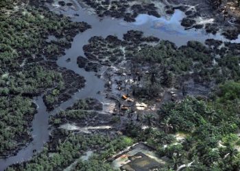 Leaked Shell Documents Reveal Alleged Negligence, Pollution in Niger Delta
