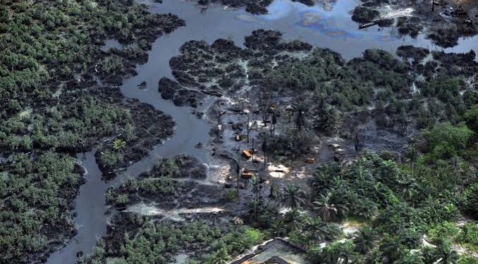 Leaked Shell Documents Reveal Alleged Negligence, Pollution in Niger Delta