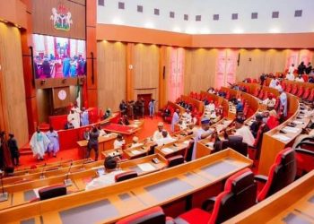 Senate Weighs Diplomatic Measures Over Fresh Xenophobic Attacks in South Africa