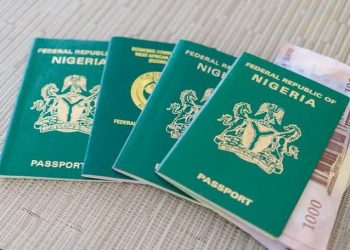 NIS Warns Nigerians Against Fake Passport Application Websites