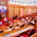 Senate Weighs Diplomatic Measures Over Fresh Xenophobic Attacks in South Africa